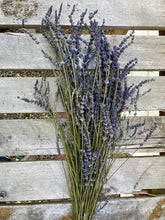 Load image into Gallery viewer, 2021 Harvested Dried Lavender Bunch (250 Stems)