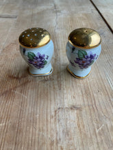 Load image into Gallery viewer, French Limoges Salt and Pepper Shakers with Flowers