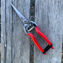 Load image into Gallery viewer, Garden Micro Tip, Needle Nose Pruners - 3" Stainless Blade - The Celtic Farm