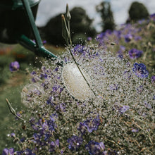 Load image into Gallery viewer, Haws Cradley Deluxe - Watering Can - The Celtic Farm