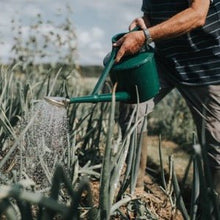 Load image into Gallery viewer, Haws Cradley Deluxe - Watering Can - The Celtic Farm