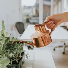 Load image into Gallery viewer, Haws Fazeley - Watering Can - The Celtic Farm
