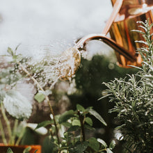 Load image into Gallery viewer, Haws Gardener Gift Set - Rowley Ripple &amp; Spritzer - The Celtic Farm