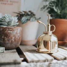 Load image into Gallery viewer, Haws Holiday Indoor Gardener Bundle- Fazeley Can &amp; Brass Spritzer - The Celtic Farm