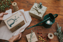 Load image into Gallery viewer, Haws Holiday Indoor Gardener Bundle- Fazeley Can &amp; Brass Spritzer - The Celtic Farm