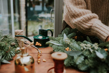 Load image into Gallery viewer, Haws Holiday Indoor Gardener Bundle- Fazeley Can &amp; Brass Spritzer - The Celtic Farm