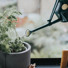Load image into Gallery viewer, Haws Langley Sprinkler - Watering Can - The Celtic Farm
