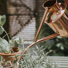 Load image into Gallery viewer, Haws Rowley Ripple - Watering Can - The Celtic Farm