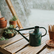 Load image into Gallery viewer, Haws Rowley Ripple - Watering Can - The Celtic Farm