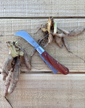 Load image into Gallery viewer, Professional Gardener's Knife - For Pruning, Grafting and Propagation - The Celtic Farm