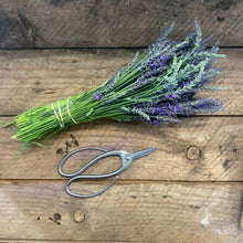 Load image into Gallery viewer, Special scissors for gardening
