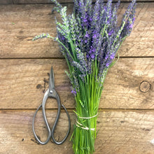 Load image into Gallery viewer, Snips for herbs and flowers in the garden