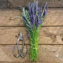 Load image into Gallery viewer, Shears like scissors for planting and harvest
