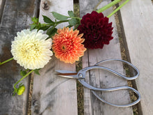 Load image into Gallery viewer, Stainless Garden Scissors (Pruning Shears/Pruners/Secateurs/Clippers) - The Celtic Farm